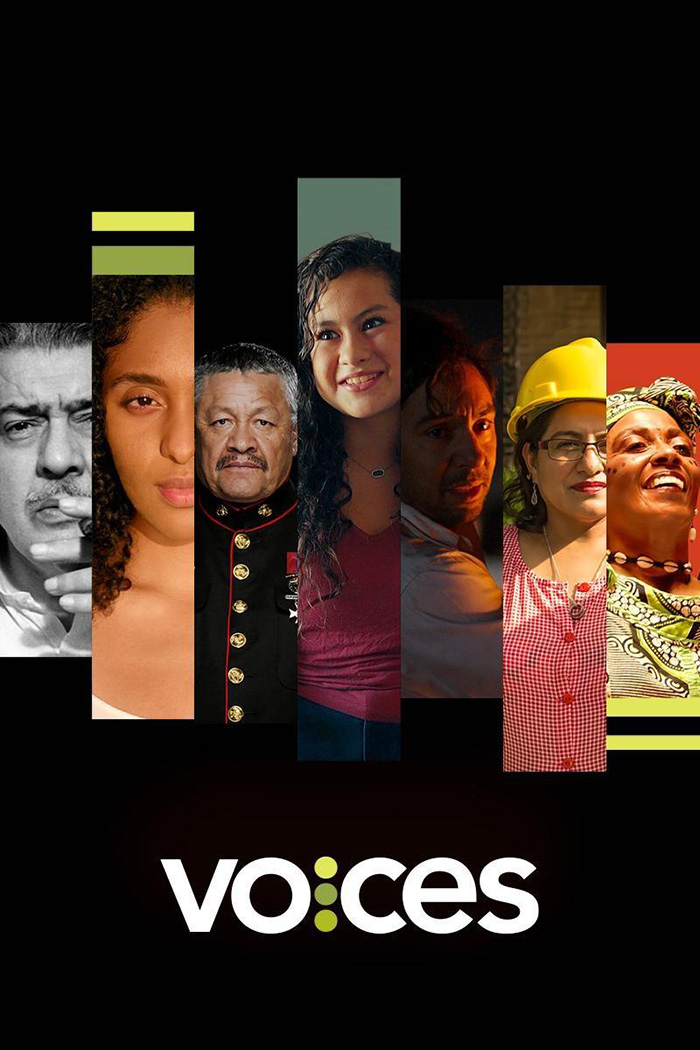 voices